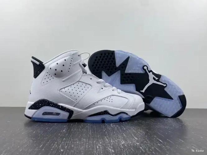 Reps TBK 6 Jordan Reverse Air Oreo CT8529-112 0529